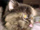 Babette:  15 yr old abandoned